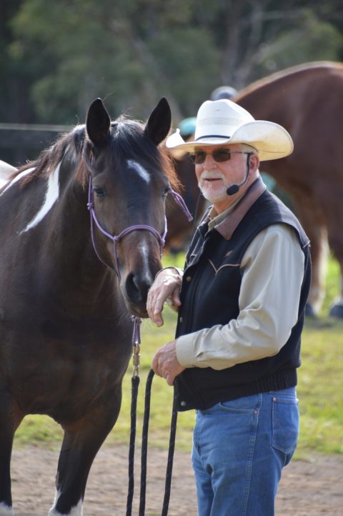 Ten Horse Training Tips To Maximise Time With Horses | Parelli Australia