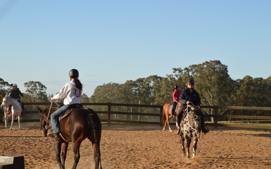 Control, Confidence and Cooperation Horsemanship Clinic March 1, 2 & 3