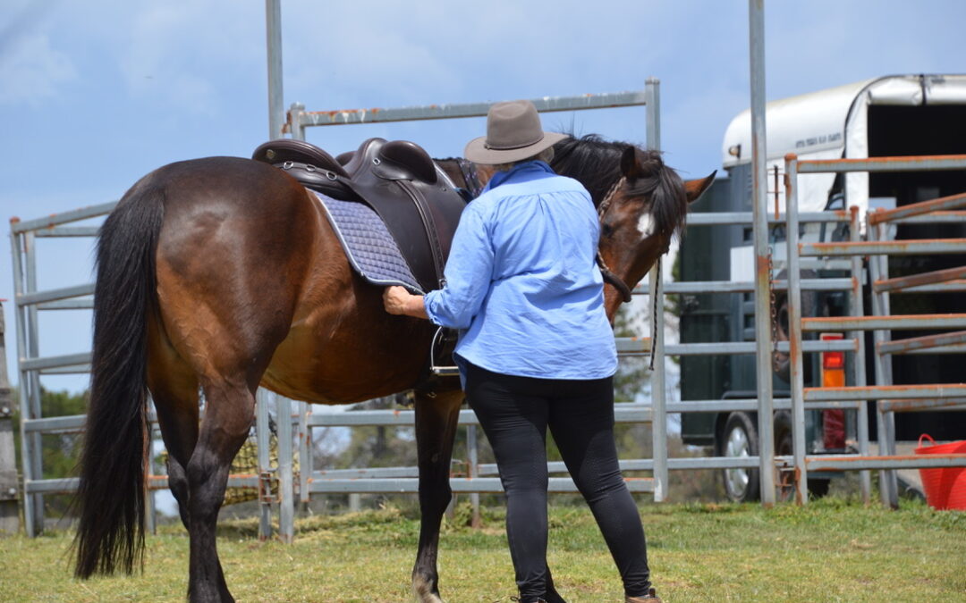 Level 1-2 Introductory Horsemanship Clinic March 22, 23 & 24