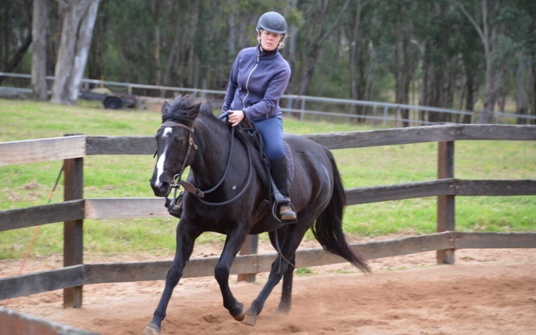 Horsemanship Experience Course February 1, 2 & 3