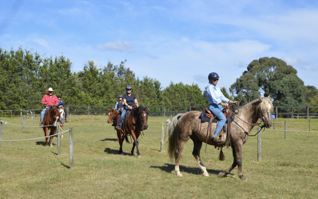 The Rider Blueprint Horsemanship Clinic February 15, 16 & 17